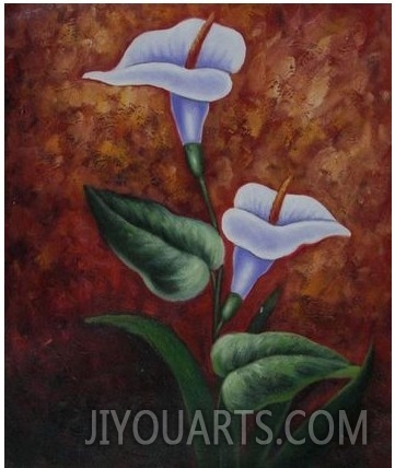 Two Calla Lilies