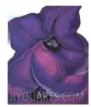 purple petunias,1925