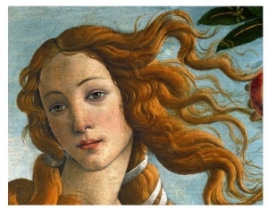 The Birth of Venus (Head of Venus), 1486