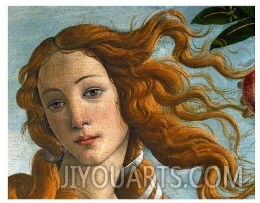 The Birth of Venus (Head of Venus), 1486