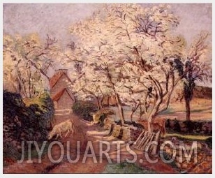 Plum Trees in Blossom