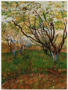 Orchard In Blossom III