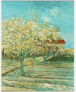 Orchard In Blossom II