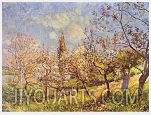 Orchard in Spring I