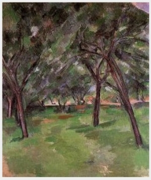 Orchard