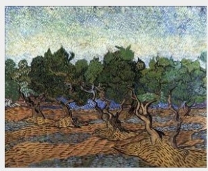 Olive Grove III