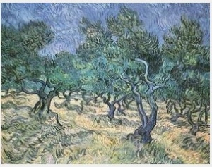 Olive Grove II