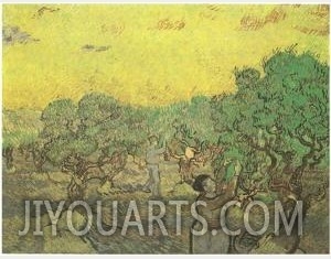 Olive Grove With Picking Figures