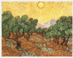 Olive Trees With Yellow Sky And Sun