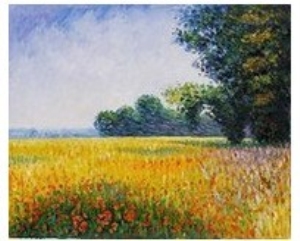 Oat Fields