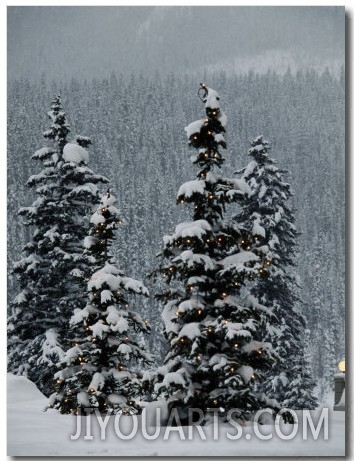 Fresh Snowfall at the Chateau Lake Louise