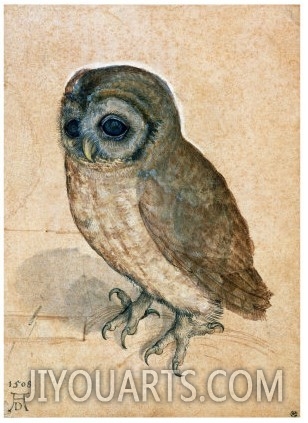 Sreech Owl, 1508