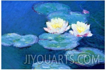 Waterlilies, Evening