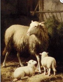 Sheep on the Hillside,a house on the Hillside