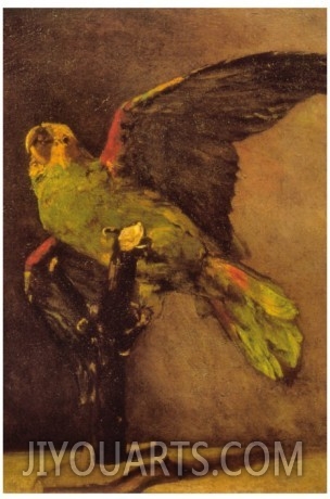 Parrot