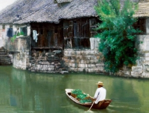 Fine Chinese village  landscape II