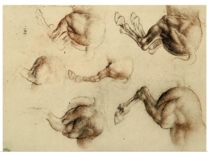 Study of Running Horses, Drawing, Royal Library, Windsor