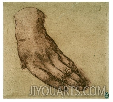 Study of a Left Hand