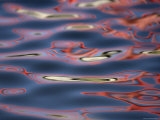 Bridge Reflections Create Abstract Patterns in Water, Socorro, New Mexico, USA