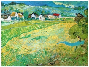 Sunny Meadow in Arles,c1890