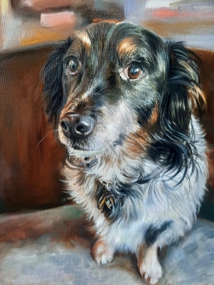 Unique Paintings，Personalised Art ， Custom Art，Oil Dog Portrait