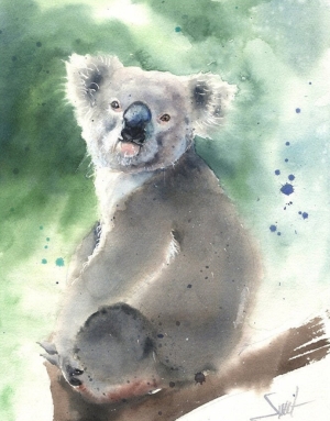 Koala Bear Art Print Watercolor Painting