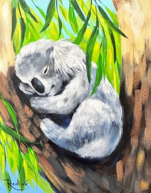 Sweet dreams ，Sleeping Koala small original