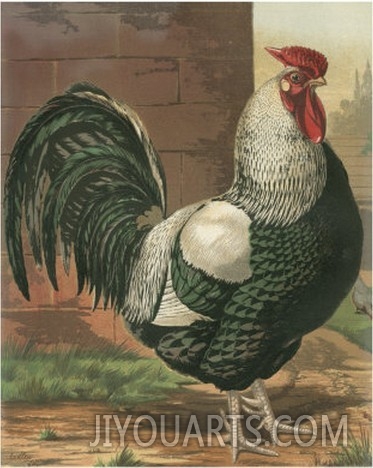 Cassel