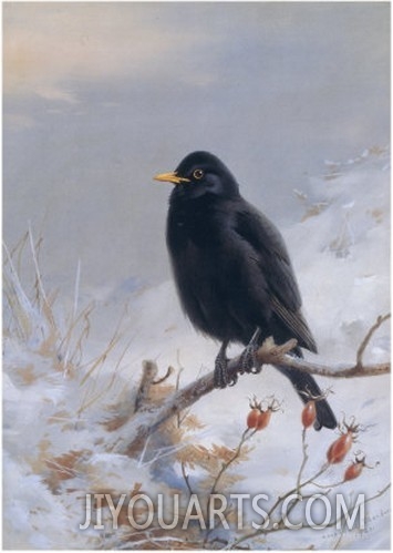 Archibald Thorburn