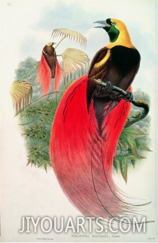 John Gould