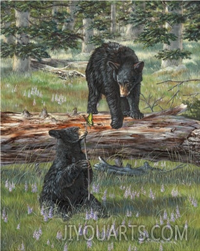 Carolyn Mock