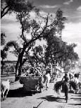 Margaret Bourke Wh
