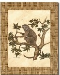 Monkey in a Tree II