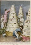 Achille Beltrame