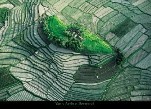Yann Arthus Bertrand