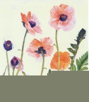 Elizabeth Blackadder